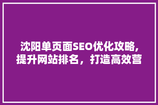 沈阳单页面SEO优化攻略,提升网站排名，打造高效营销平台