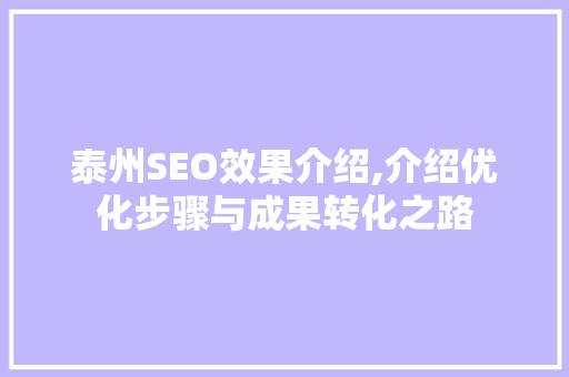 泰州SEO效果介绍,介绍优化步骤与成果转化之路