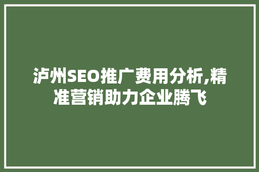 泸州SEO推广费用分析,精准营销助力企业腾飞