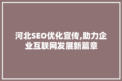 河北SEO优化宣传,助力企业互联网发展新篇章