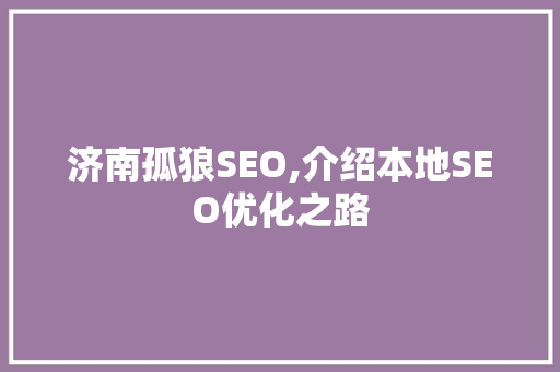 济南孤狼SEO,介绍本地SEO优化之路