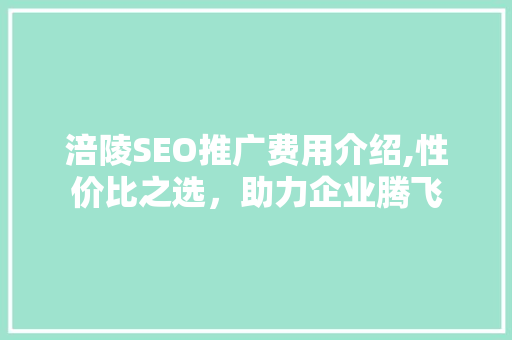 涪陵SEO推广费用介绍,性价比之选，助力企业腾飞