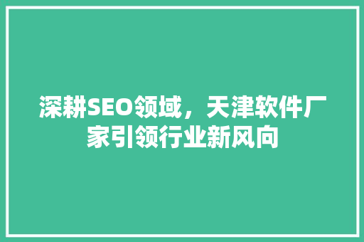 深耕SEO领域，天津软件厂家引领行业新风向