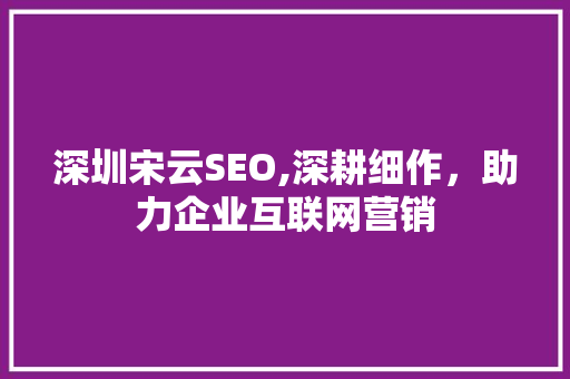 深圳宋云SEO,深耕细作，助力企业互联网营销