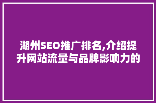 湖州SEO推广排名,介绍提升网站流量与品牌影响力的秘密武器