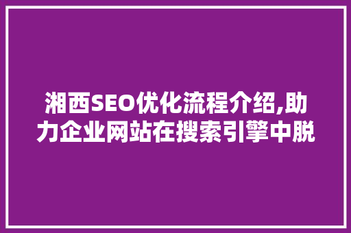 湘西SEO优化流程介绍,助力企业网站在搜索引擎中脱颖而出