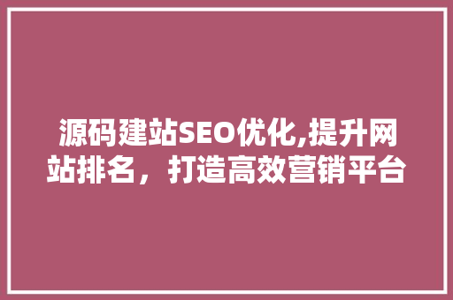 源码建站SEO优化,提升网站排名，打造高效营销平台