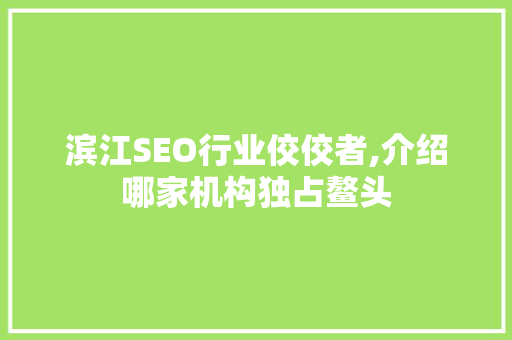 滨江SEO行业佼佼者,介绍哪家机构独占鳌头