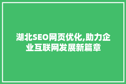 湖北SEO网页优化,助力企业互联网发展新篇章
