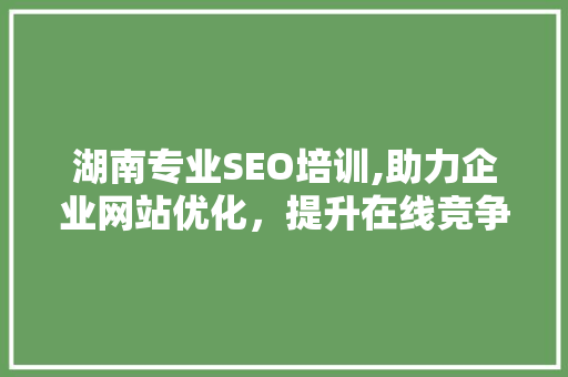 湖南专业SEO培训,助力企业网站优化，提升在线竞争力