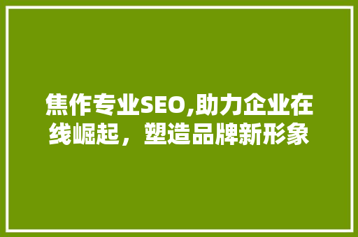 焦作专业SEO,助力企业在线崛起，塑造品牌新形象