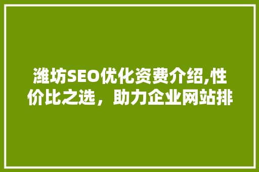 潍坊SEO优化资费介绍,性价比之选，助力企业网站排名提升