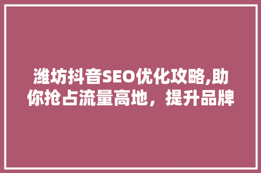 潍坊抖音SEO优化攻略,助你抢占流量高地，提升品牌知名度