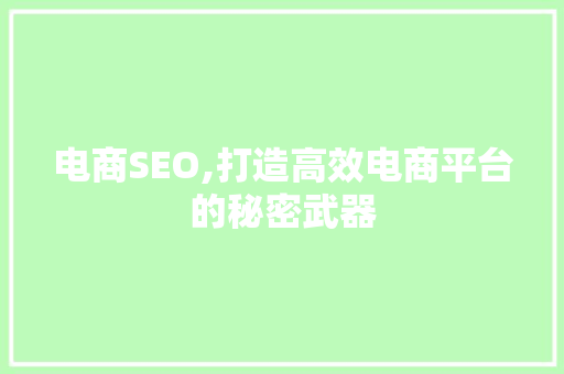 电商SEO,打造高效电商平台的秘密武器