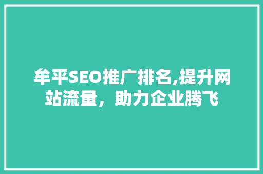 牟平SEO推广排名,提升网站流量，助力企业腾飞