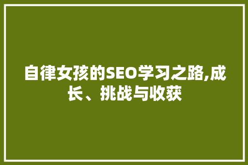 自律女孩的SEO学习之路,成长、挑战与收获