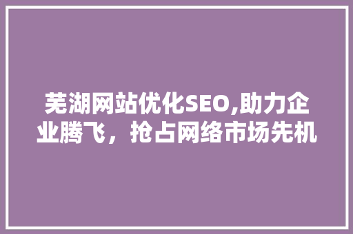 芜湖网站优化SEO,助力企业腾飞，抢占网络市场先机