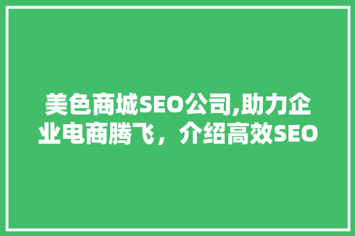 美色商城SEO公司,助力企业电商腾飞，介绍高效SEO步骤