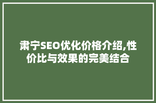 肃宁SEO优化价格介绍,性价比与效果的完美结合
