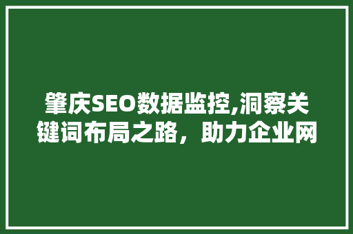 肇庆SEO数据监控,洞察关键词布局之路，助力企业网站优化