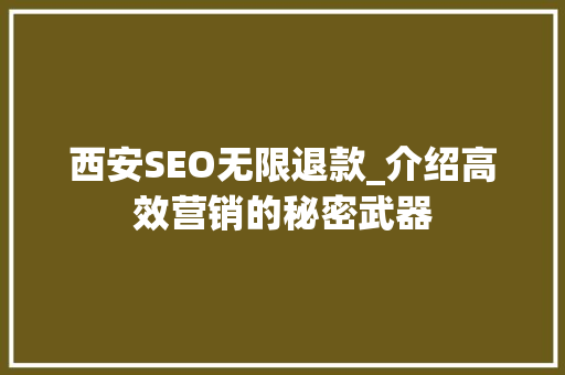 西安SEO无限退款_介绍高效营销的秘密武器