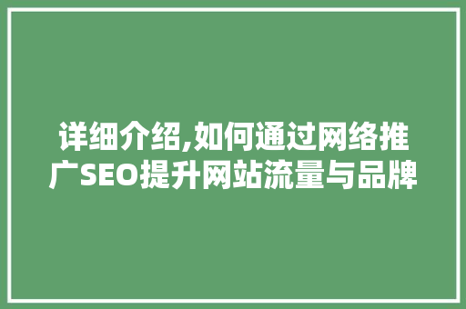 详细介绍,如何通过网络推广SEO提升网站流量与品牌知名度