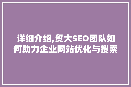 详细介绍,贸大SEO团队如何助力企业网站优化与搜索引擎排名提升