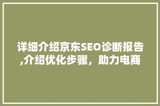 详细介绍京东SEO诊断报告,介绍优化步骤，助力电商腾飞