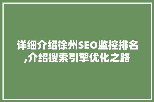 详细介绍徐州SEO监控排名,介绍搜索引擎优化之路