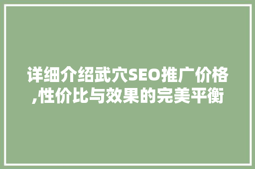 详细介绍武穴SEO推广价格,性价比与效果的完美平衡