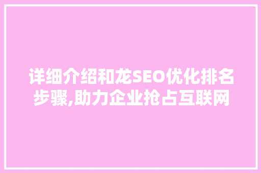 详细介绍和龙SEO优化排名步骤,助力企业抢占互联网高地