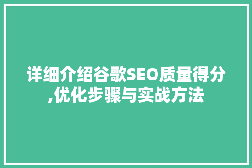 详细介绍谷歌SEO质量得分,优化步骤与实战方法