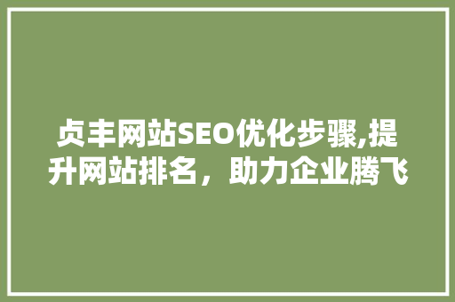 贞丰网站SEO优化步骤,提升网站排名，助力企业腾飞