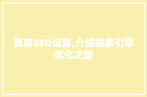贾真SEO运营,介绍搜索引擎优化之路