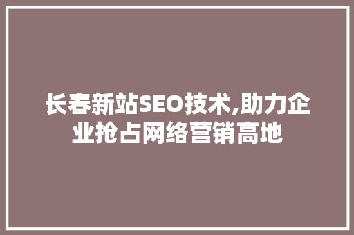 长春新站SEO技术,助力企业抢占网络营销高地