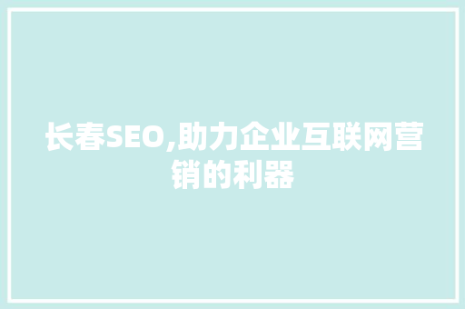长春SEO,助力企业互联网营销的利器