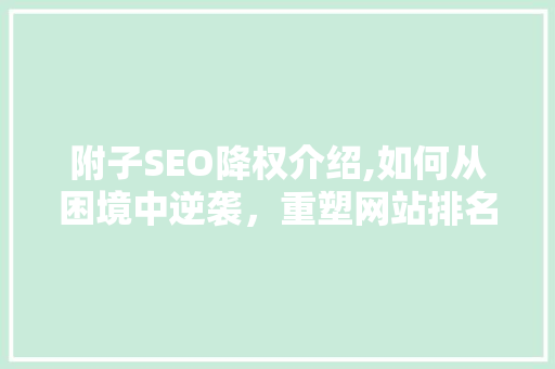 附子SEO降权介绍,如何从困境中逆袭，重塑网站排名