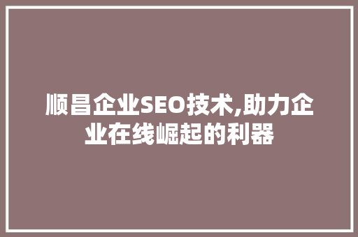顺昌企业SEO技术,助力企业在线崛起的利器