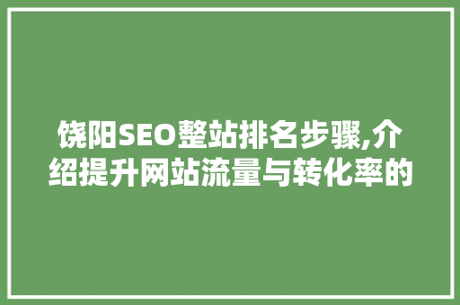 饶阳SEO整站排名步骤,介绍提升网站流量与转化率的方法