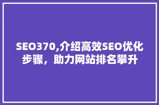 SEO370,介绍高效SEO优化步骤，助力网站排名攀升