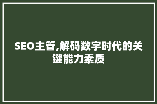 SEO主管,解码数字时代的关键能力素质