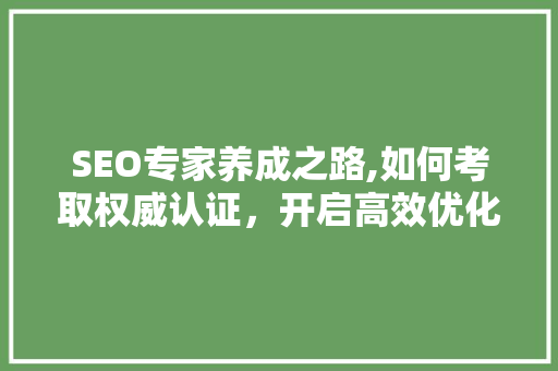 SEO专家养成之路,如何考取权威认证，开启高效优化之旅