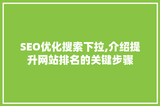 SEO优化搜索下拉,介绍提升网站排名的关键步骤