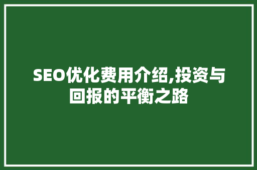 SEO优化费用介绍,投资与回报的平衡之路