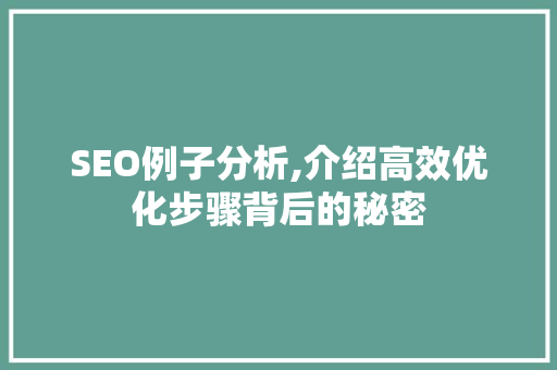 SEO例子分析,介绍高效优化步骤背后的秘密