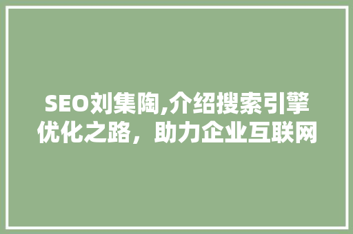 SEO刘集陶,介绍搜索引擎优化之路，助力企业互联网营销腾飞