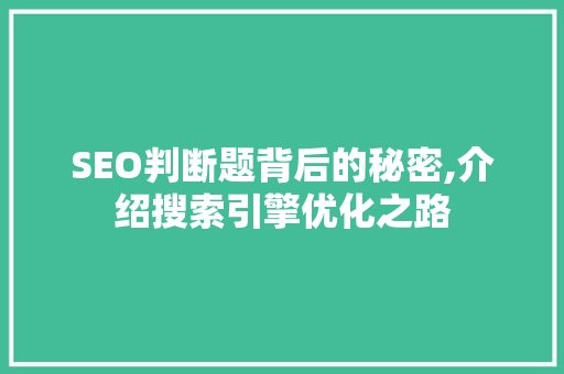 SEO判断题背后的秘密,介绍搜索引擎优化之路