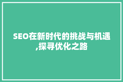 SEO在新时代的挑战与机遇,探寻优化之路