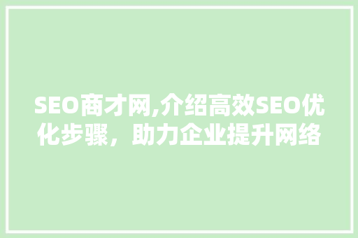 SEO商才网,介绍高效SEO优化步骤，助力企业提升网络竞争力
