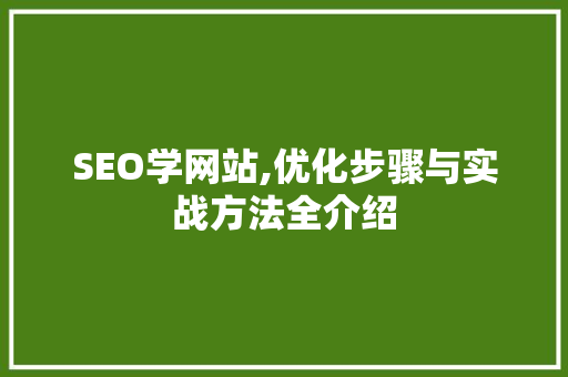 SEO学网站,优化步骤与实战方法全介绍